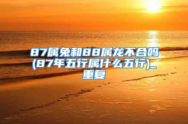 87属兔和88属龙不合吗(87年五行属什么五行)_重复