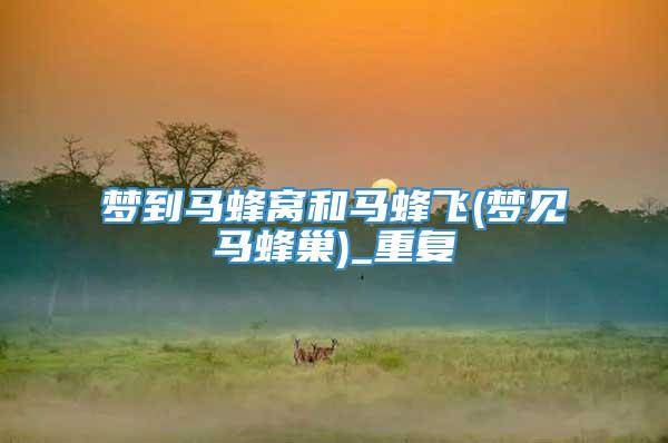 梦到马蜂窝和马蜂飞(梦见马蜂巢)_重复