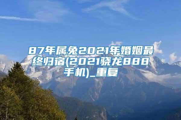 87年属兔2021年婚姻最终归宿(2021骁龙888手机)_重复