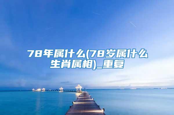 78年属什么(78岁属什么生肖属相)_重复