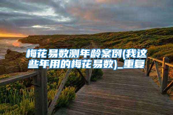 梅花易数测年龄案例(我这些年用的梅花易数)_重复