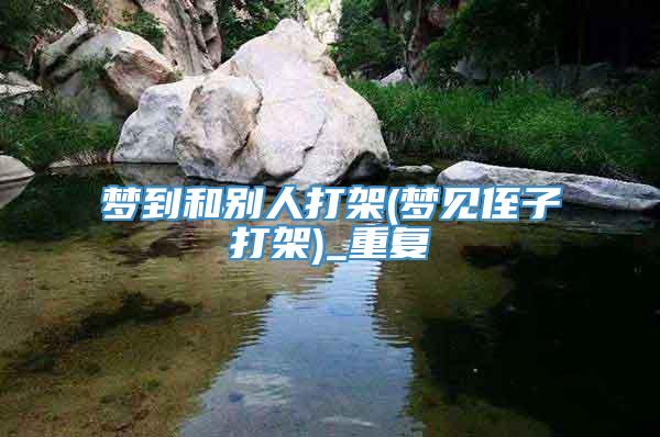 梦到和别人打架(梦见侄子打架)_重复