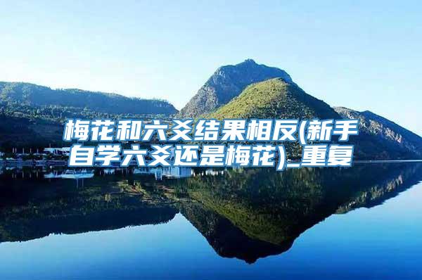 梅花和六爻结果相反(新手自学六爻还是梅花)_重复
