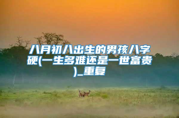 八月初八出生的男孩八字硬(一生多难还是一世富贵)_重复