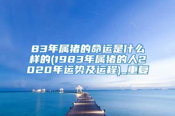 83年属猪的命运是什么样的(1983年属猪的人2020年运势及运程)_重复