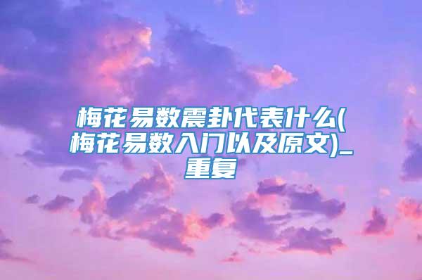 梅花易数震卦代表什么(梅花易数入门以及原文)_重复