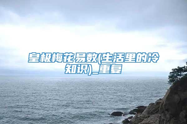 皇极梅花易数(生活里的冷知识)_重复