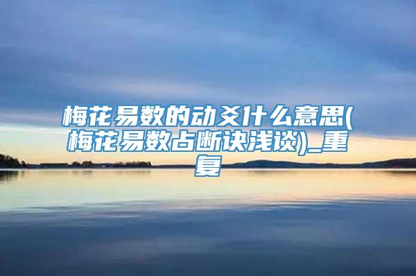 梅花易数的动爻什么意思(梅花易数占断诀浅谈)_重复