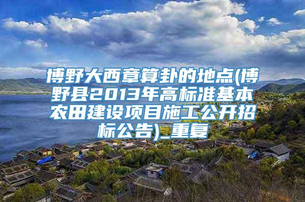 博野大西章算卦的地点(博野县2013年高标准基本农田建设项目施工公开招标公告)_重复