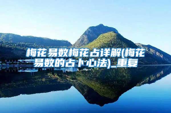 梅花易数梅花占详解(梅花易数的占卜心法)_重复