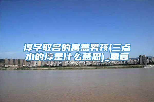 淳字取名的寓意男孩(三点水的淳是什么意思)_重复
