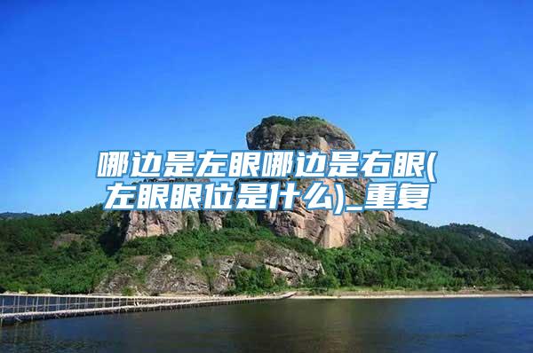 哪边是左眼哪边是右眼(左眼眼位是什么)_重复