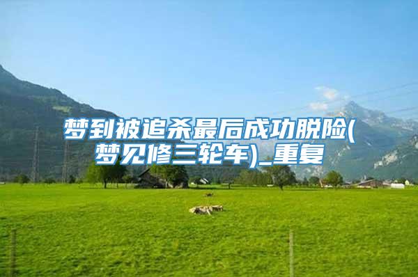 梦到被追杀最后成功脱险(梦见修三轮车)_重复