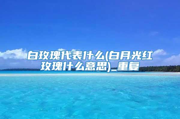 白玫瑰代表什么(白月光红玫瑰什么意思)_重复