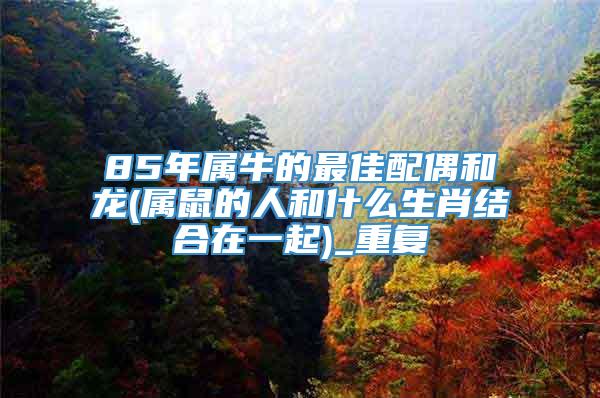 85年属牛的最佳配偶和龙(属鼠的人和什么生肖结合在一起)_重复