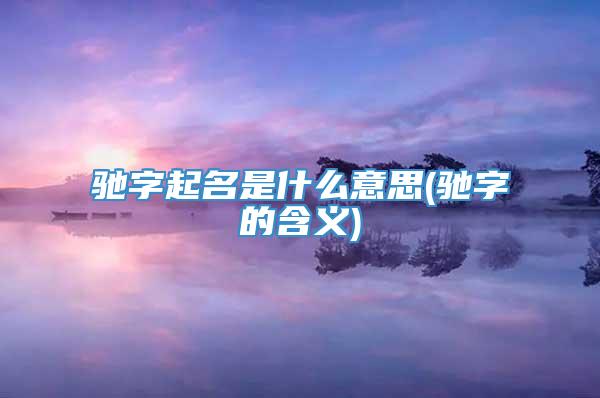 驰字起名是什么意思(驰字的含义)