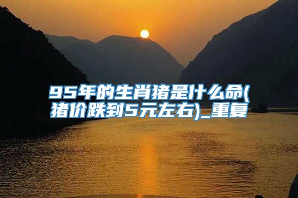 95年的生肖猪是什么命(猪价跌到5元左右)_重复