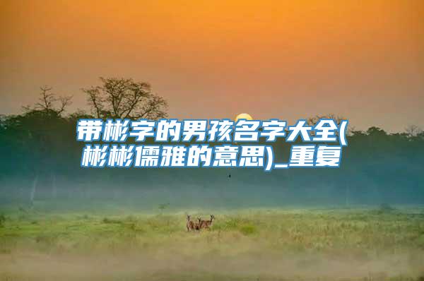 带彬字的男孩名字大全(彬彬儒雅的意思)_重复