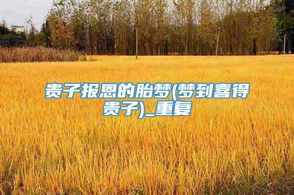 贵子报恩的胎梦(梦到喜得贵子)_重复