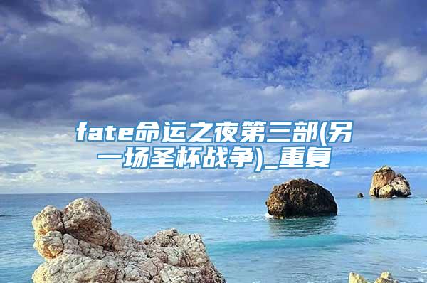 fate命运之夜第三部(另一场圣杯战争)_重复