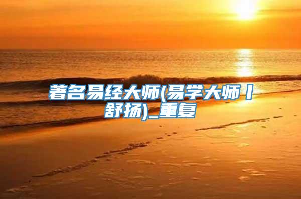 著名易经大师(易学大师丨舒扬)_重复