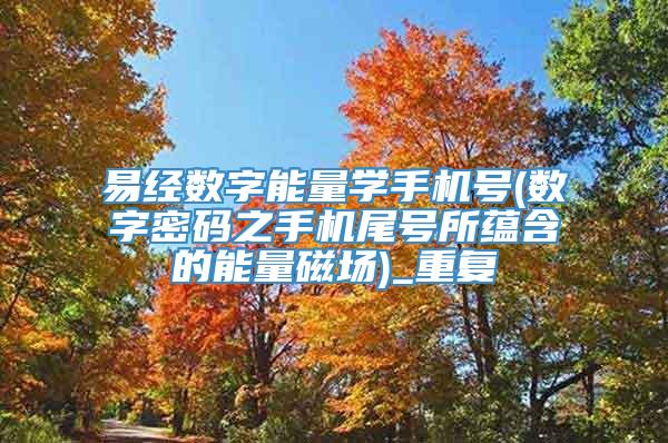 易经数字能量学手机号(数字密码之手机尾号所蕴含的能量磁场)_重复