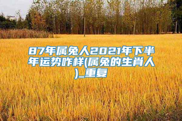 87年属兔人2021年下半年运势咋样(属兔的生肖人)_重复