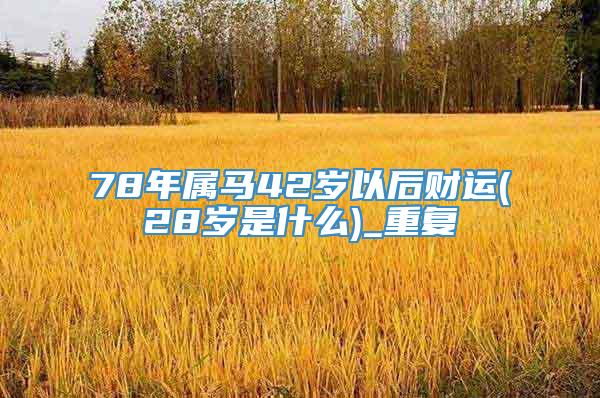 78年属马42岁以后财运(28岁是什么)_重复