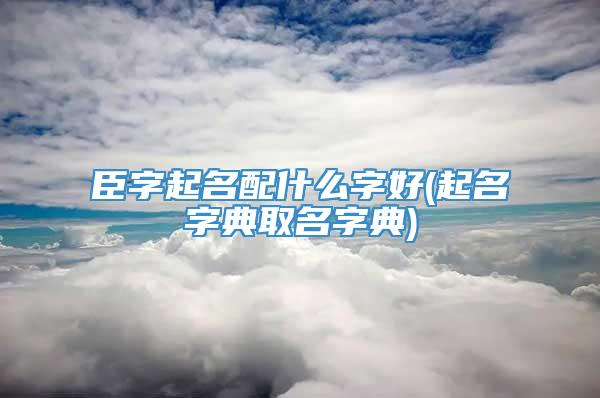 臣字起名配什么字好(起名字典取名字典)