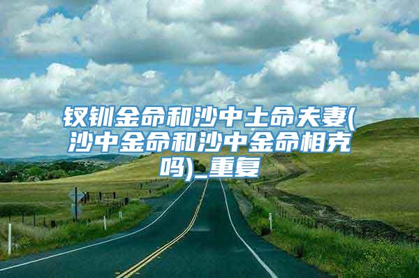 钗钏金命和沙中土命夫妻(沙中金命和沙中金命相克吗)_重复