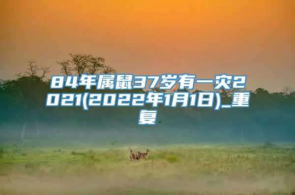 84年属鼠37岁有一灾2021(2022年1月1日)_重复