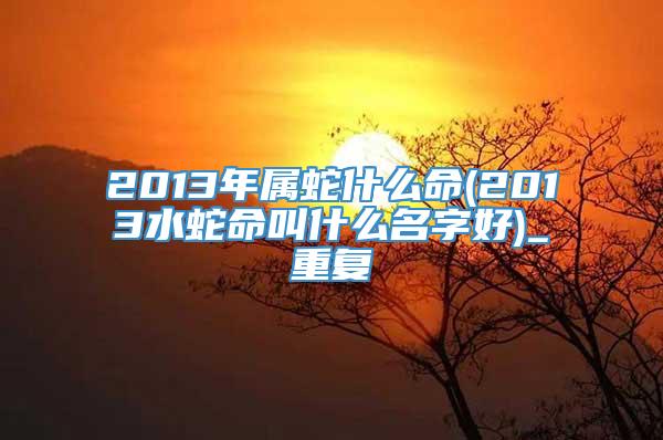 2013年属蛇什么命(2013水蛇命叫什么名字好)_重复