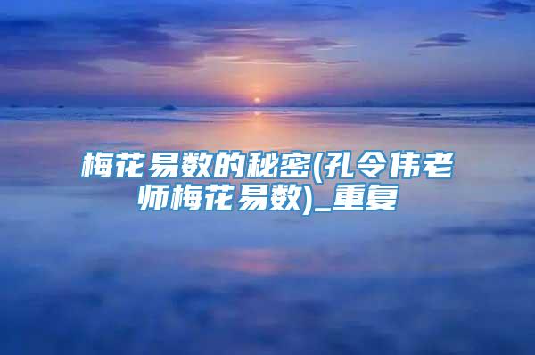 梅花易数的秘密(孔令伟老师梅花易数)_重复