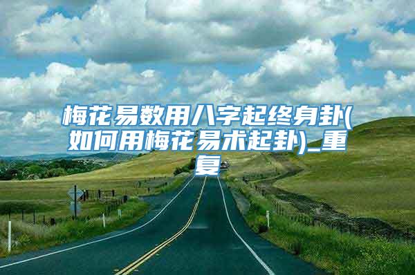 梅花易数用八字起终身卦(如何用梅花易术起卦)_重复