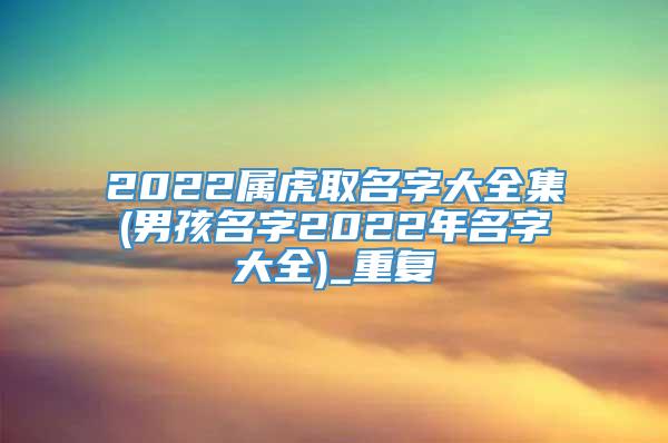 2022属虎取名字大全集(男孩名字2022年名字大全)_重复