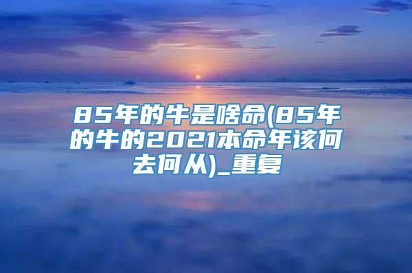 85年的牛是啥命(85年的牛的2021本命年该何去何从)_重复