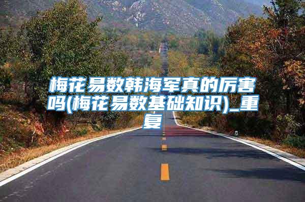 梅花易数韩海军真的厉害吗(梅花易数基础知识)_重复
