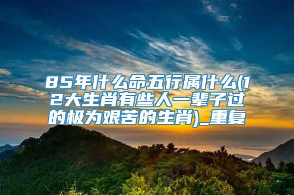 85年什么命五行属什么(12大生肖有些人一辈子过的极为艰苦的生肖)_重复