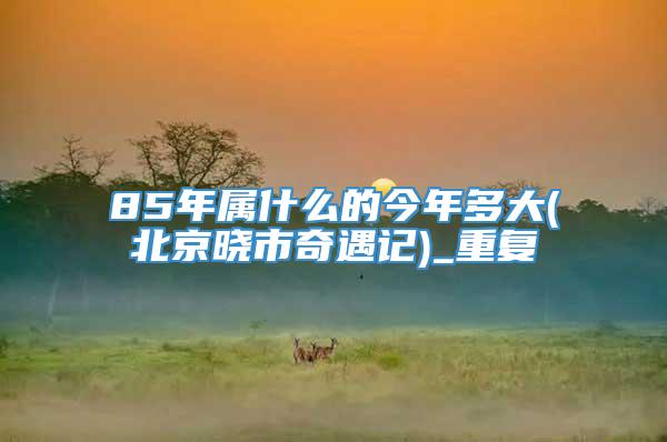 85年属什么的今年多大(北京晓市奇遇记)_重复