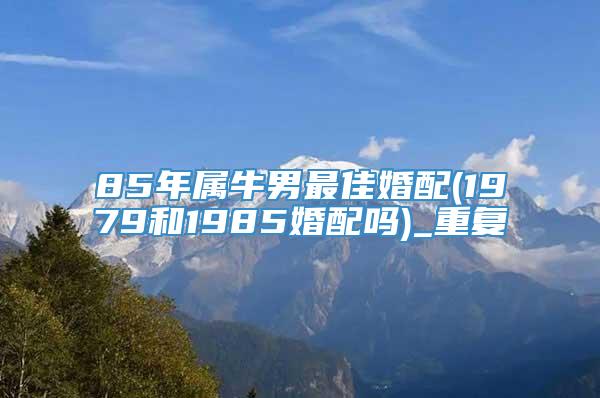 85年属牛男最佳婚配(1979和1985婚配吗)_重复