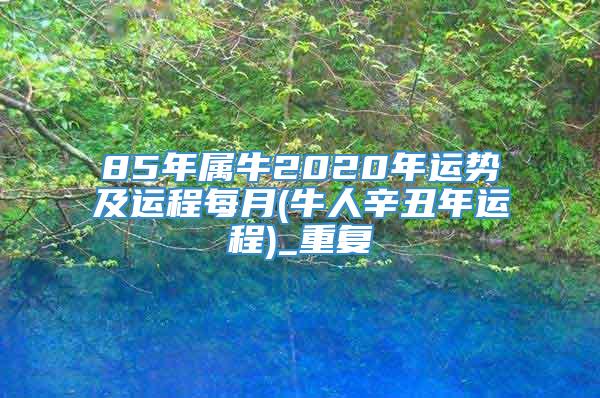 85年属牛2020年运势及运程每月(牛人辛丑年运程)_重复