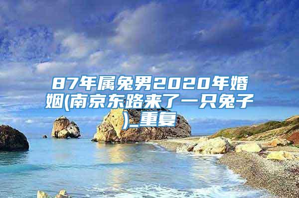 87年属兔男2020年婚姻(南京东路来了一只兔子)_重复