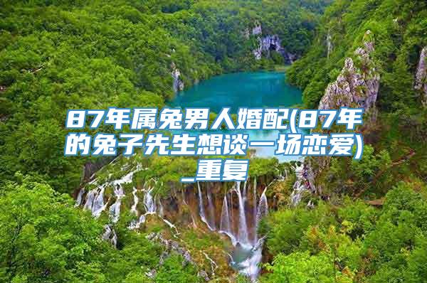 87年属兔男人婚配(87年的兔子先生想谈一场恋爱)_重复