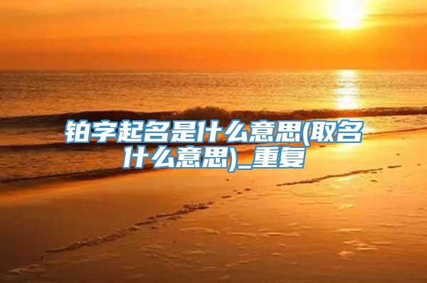 铂字起名是什么意思(取名什么意思)_重复