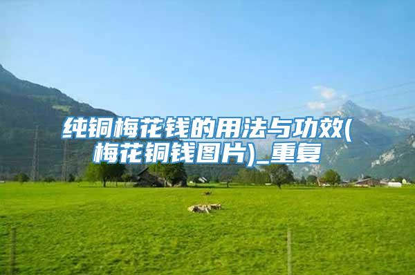 纯铜梅花钱的用法与功效(梅花铜钱图片)_重复