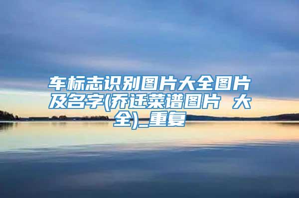 车标志识别图片大全图片及名字(乔迁菜谱图片 大全)_重复