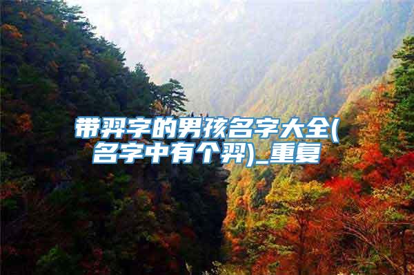 带羿字的男孩名字大全(名字中有个羿)_重复