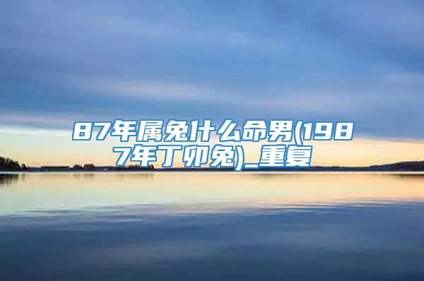 87年属兔什么命男(1987年丁卯兔)_重复