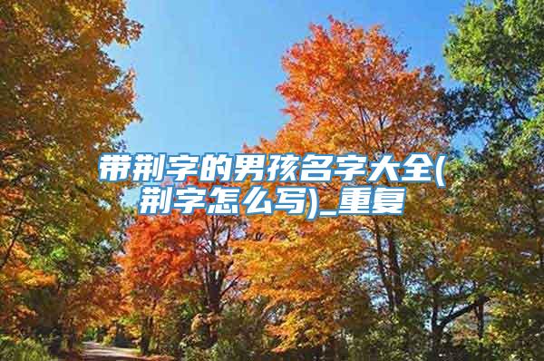 带荆字的男孩名字大全(荆字怎么写)_重复