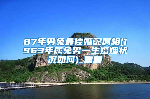 87年男兔最佳婚配属相(1963年属兔男一生婚姻状况如何)_重复